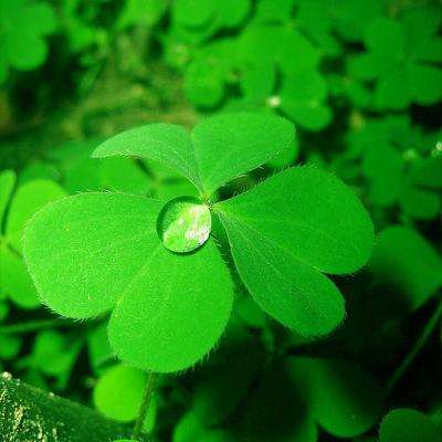 霍尔木兹,最新消息!黄金,直线拉升