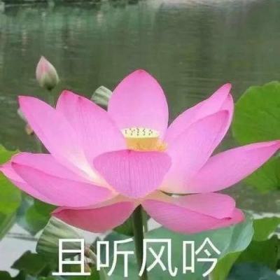 信达证券研究所所长左前明涉猥亵女下属：公司紧急停职，警方介入调查