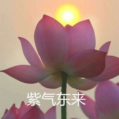 以色列媒体：美国计划于4月9日结束对伊朗战争